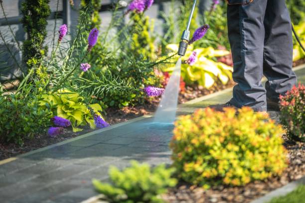 Best Winterizing Services  in Daniels Farm, CT